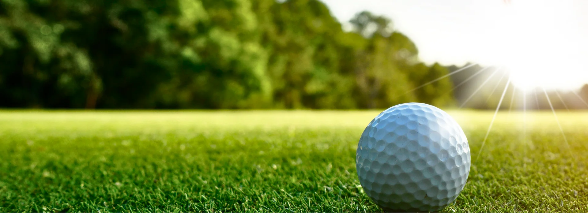 golf ball on green grass