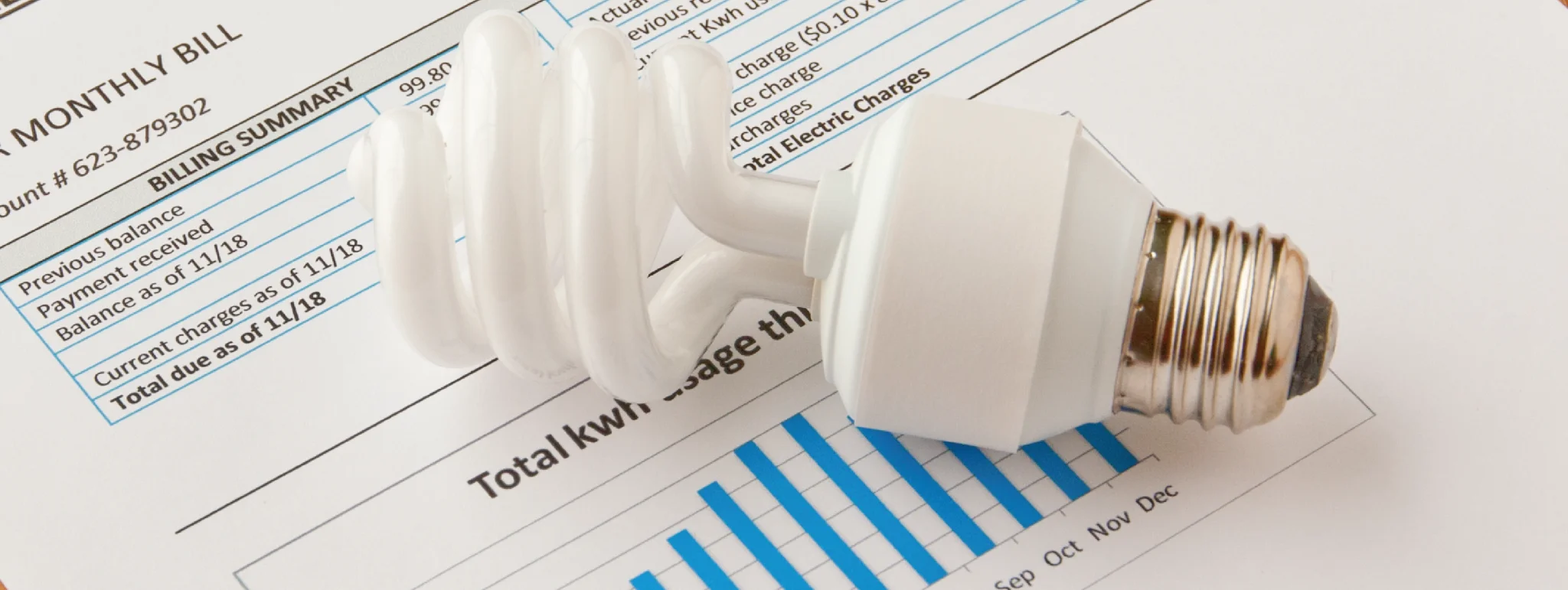 LED light bulb and utility bill