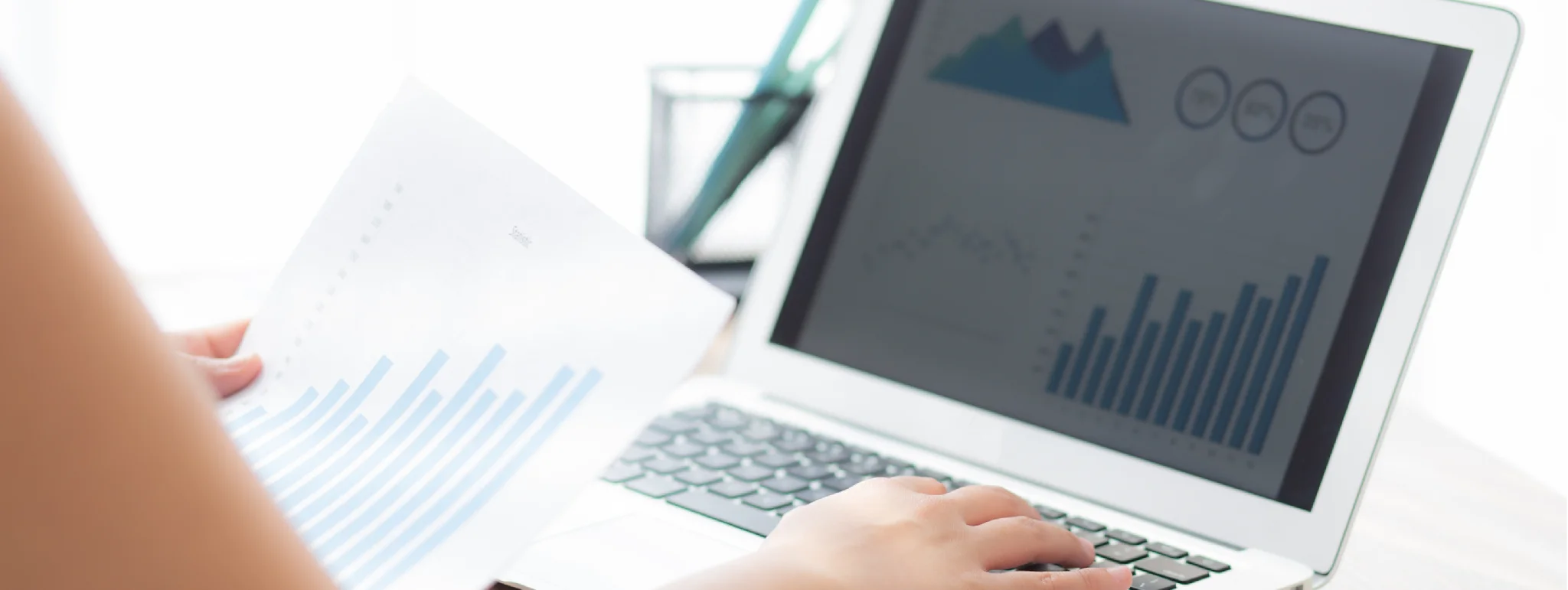 Development and Report Writing